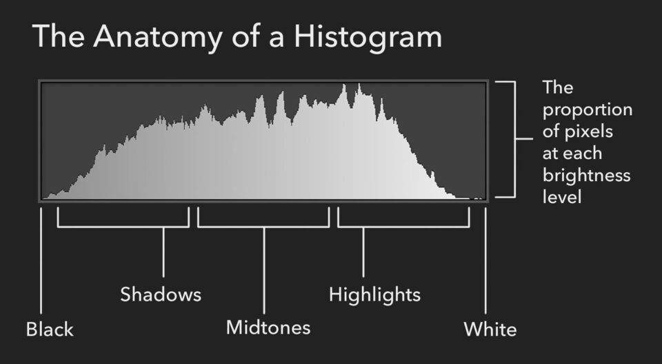 The anatomy of a histogram
