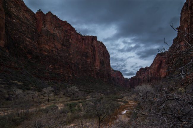 A Trip to Zion National Park