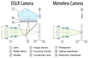 What is a Mirrorless Camera?