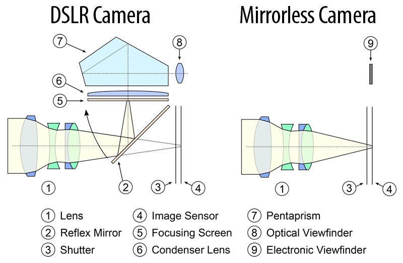 diff between mirrorless and dslr