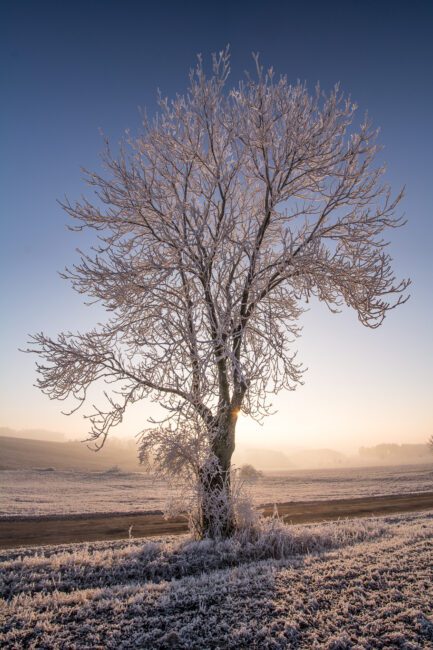 How To Photograph Winter Landscapes