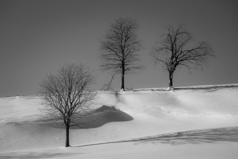 Winter Photography Tips (2)