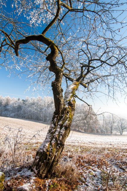 How To Photograph Winter Landscapes