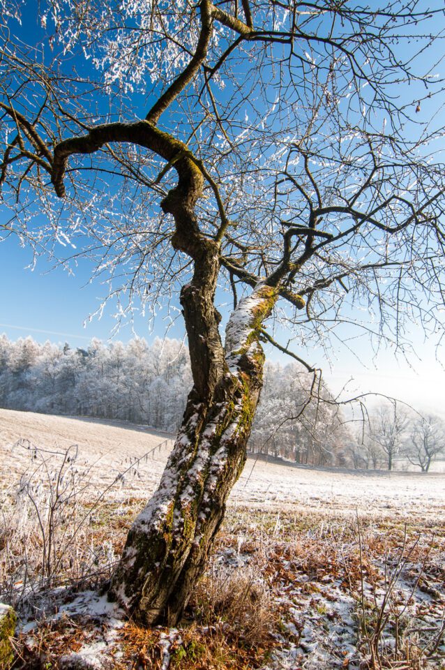 Winter Photography Tips (24)