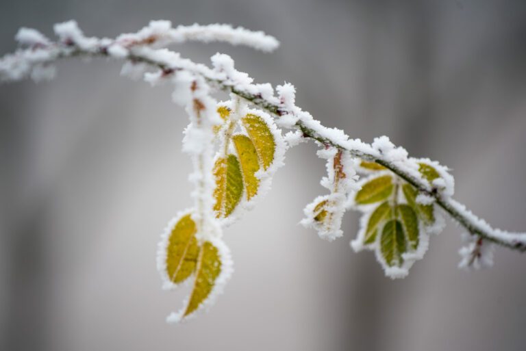 How To Photograph Winter Landscapes