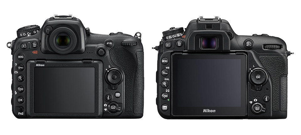 Nikon D500 vs D7500 Back