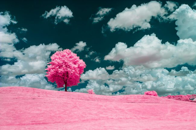 Infrared Photography: Getting More Color From Your 720nm Filter