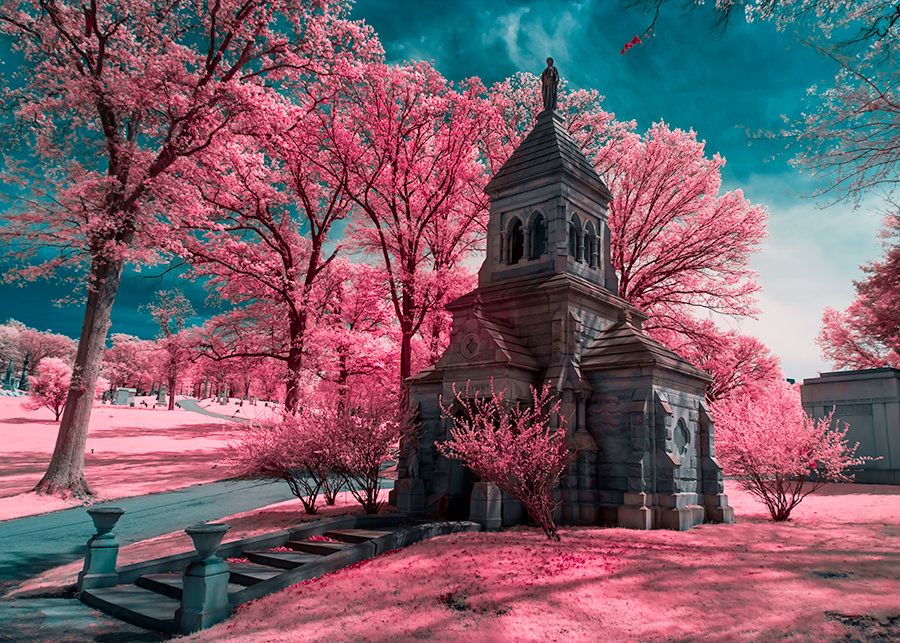 How To Get Vibrant Colours In Your Photos - Infrared Conversions