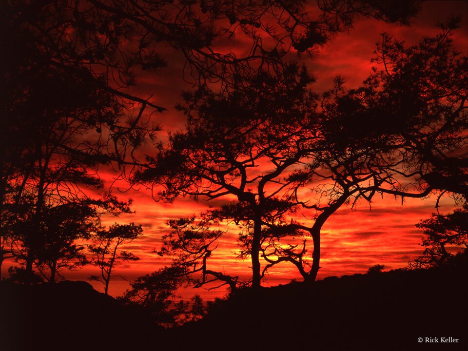 Rick Keller Sunset Silhouette
