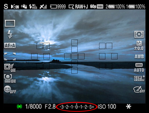 Electronic Viewfinder Exposure Compensation Overlay