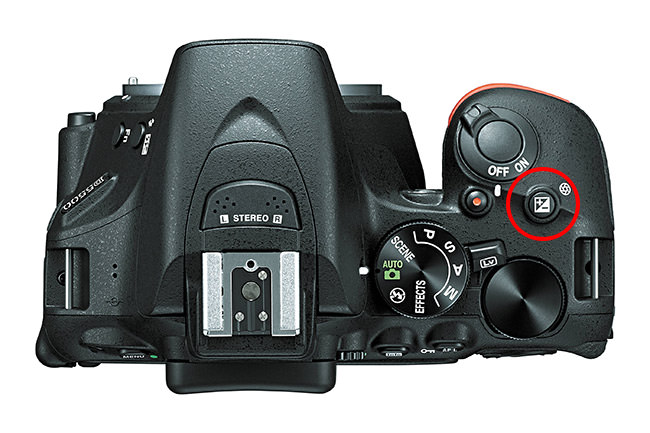 Nikon D5500 Exposure Compensation button