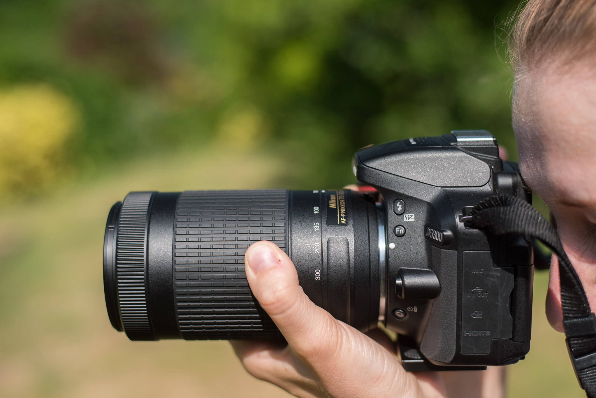 Gasvormig schreeuw Ramen wassen Nikon 70-300mm f/4.5-6.3G DX VR AF-P Review
