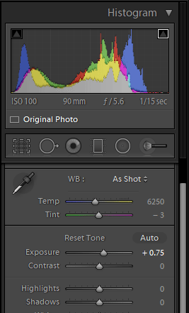 Blue Mosque Exposure and Histogram in Lightroom