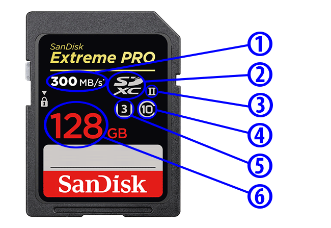 Compact Flash (CF), Secure Digital (SD) and SDHC/SDXC Memory Cards for  Digital Cameras