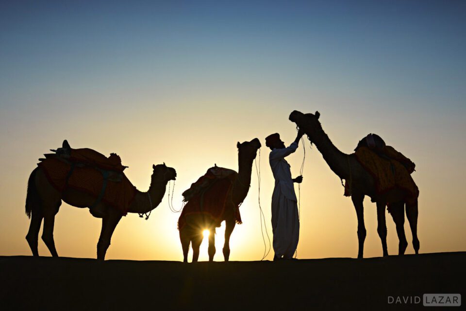 15. David Lazar - Camel Man-Thar Destert_India