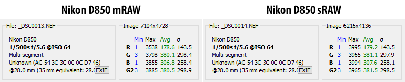 Nikon D850 mRAW vs sRAW