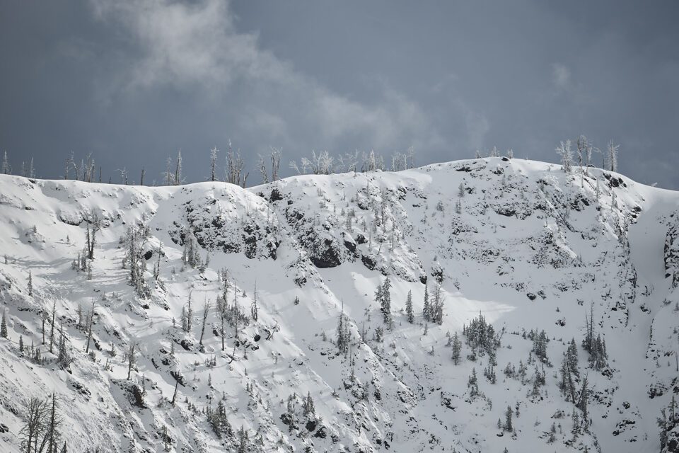 Yellowstone Wildlife (5)
