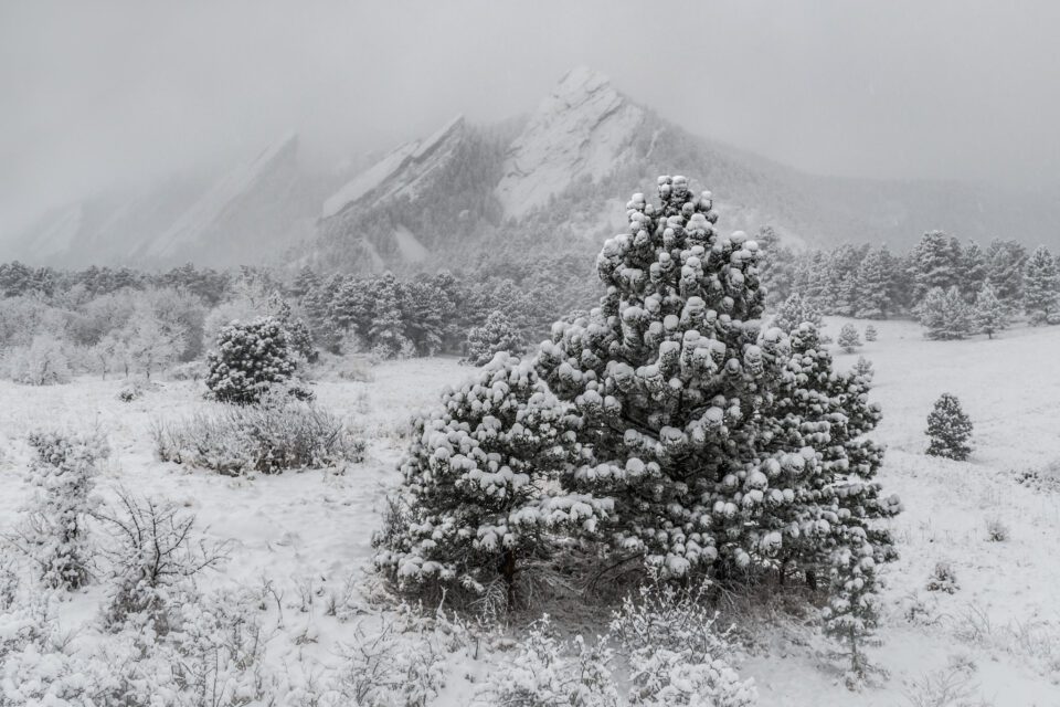 Boulder Snow Landscape
