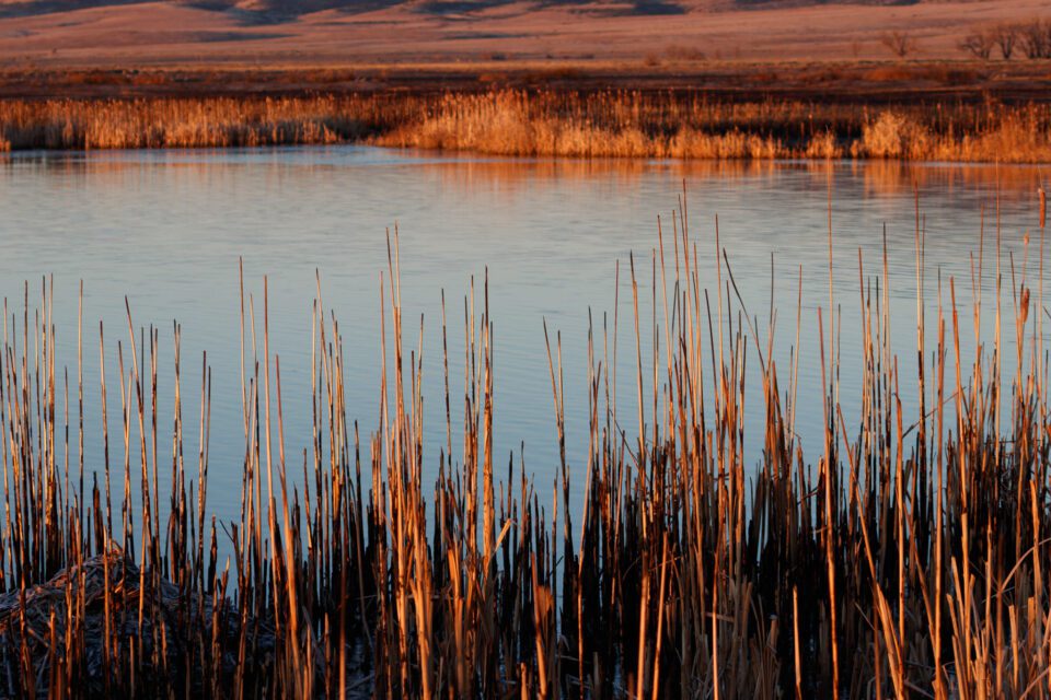 Sunrise Light and Color with Canon 80D