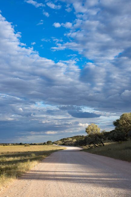 Tips For a Successful Self-Driving African Safari