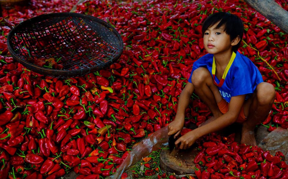 Kid with Red Peppers