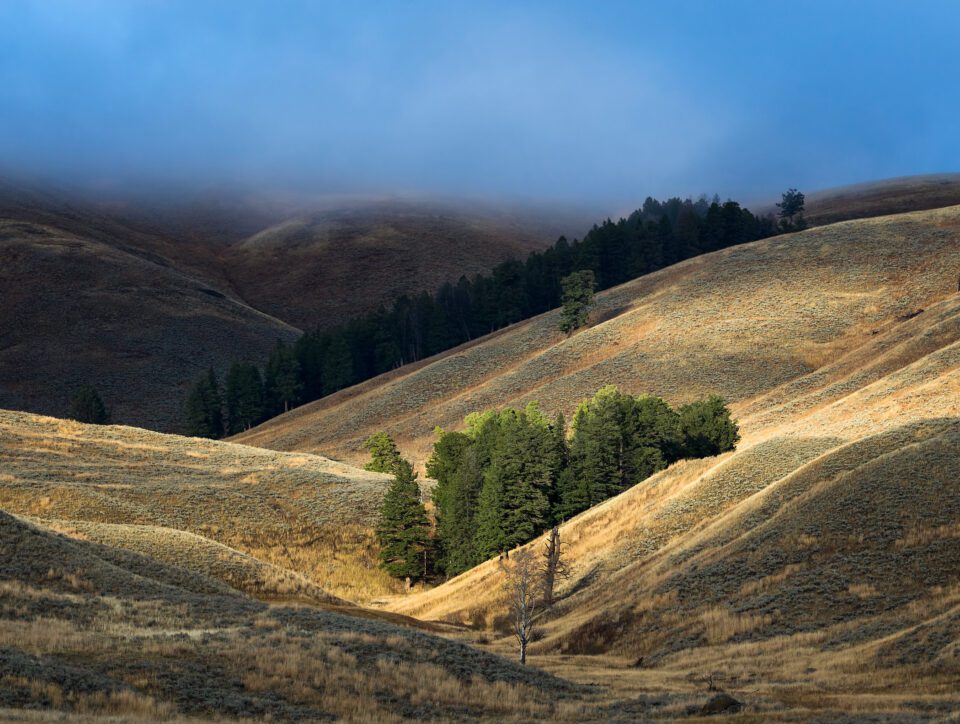Lamar Valley Yellowstone