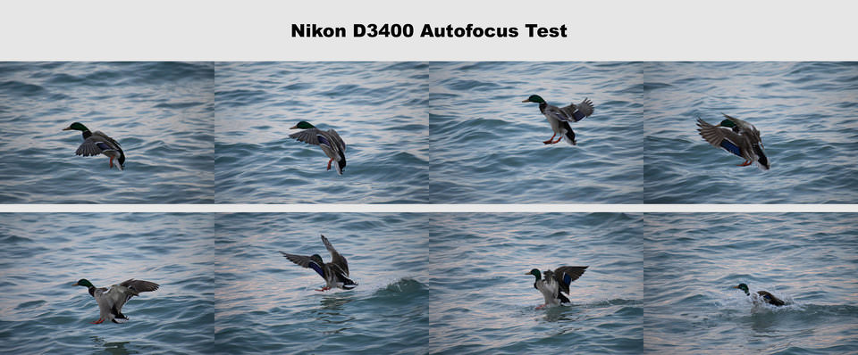 Nikon D3400 Autofocus Test