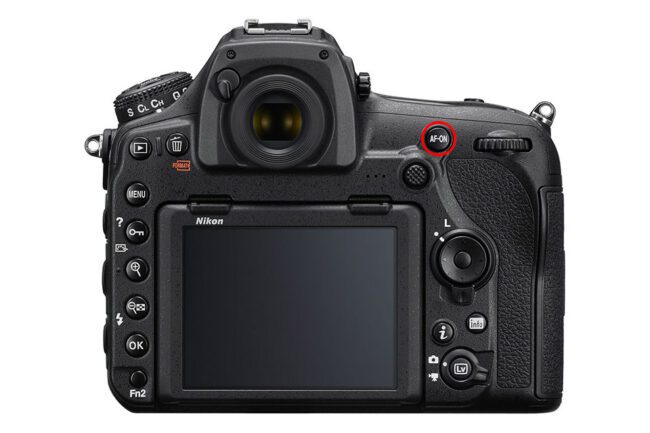This image of a DSLR has the AF-On button circled, showing how to turn on back button focusing.