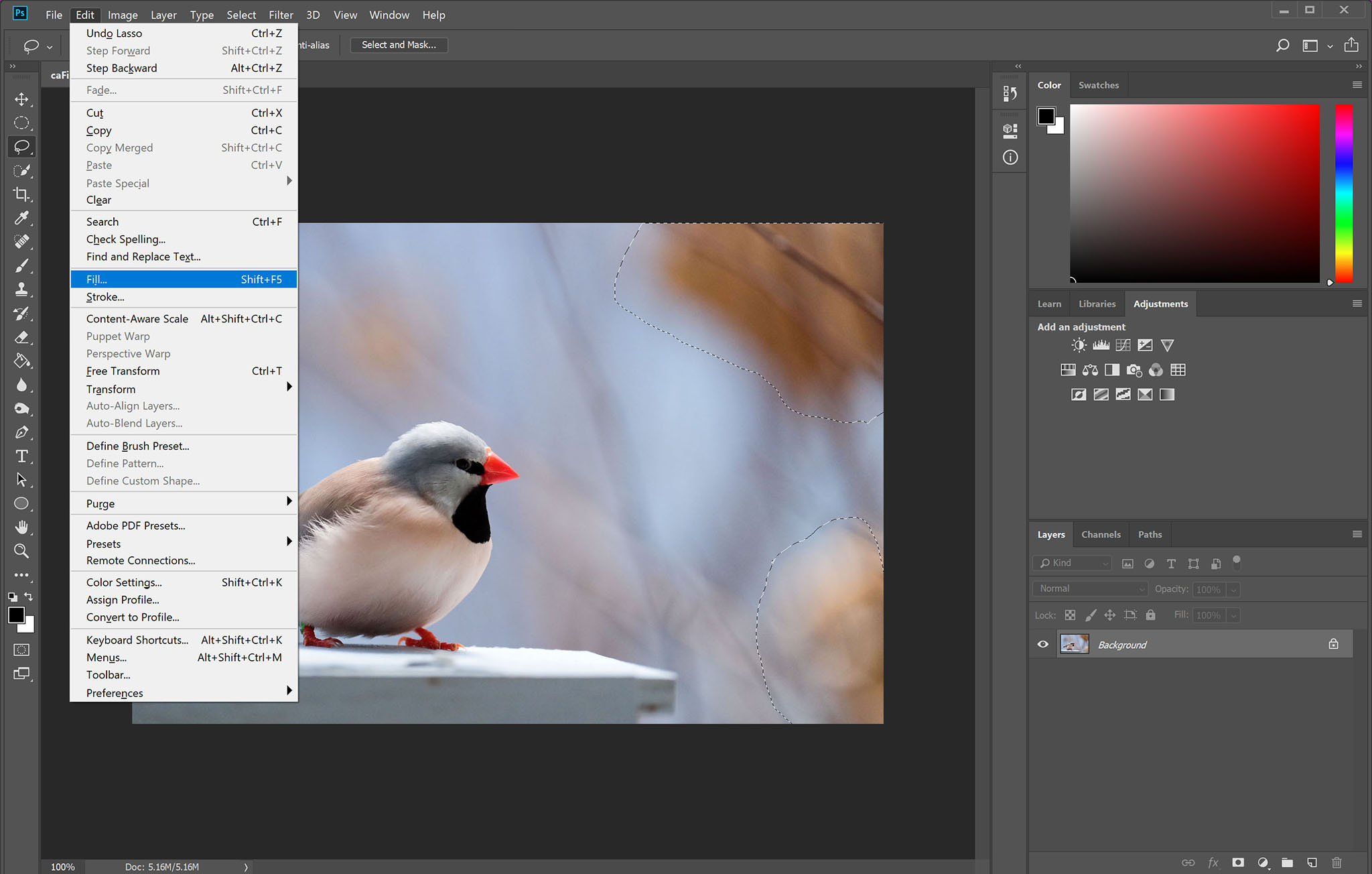Photoshop's Best Content-Aware Tools, Explained