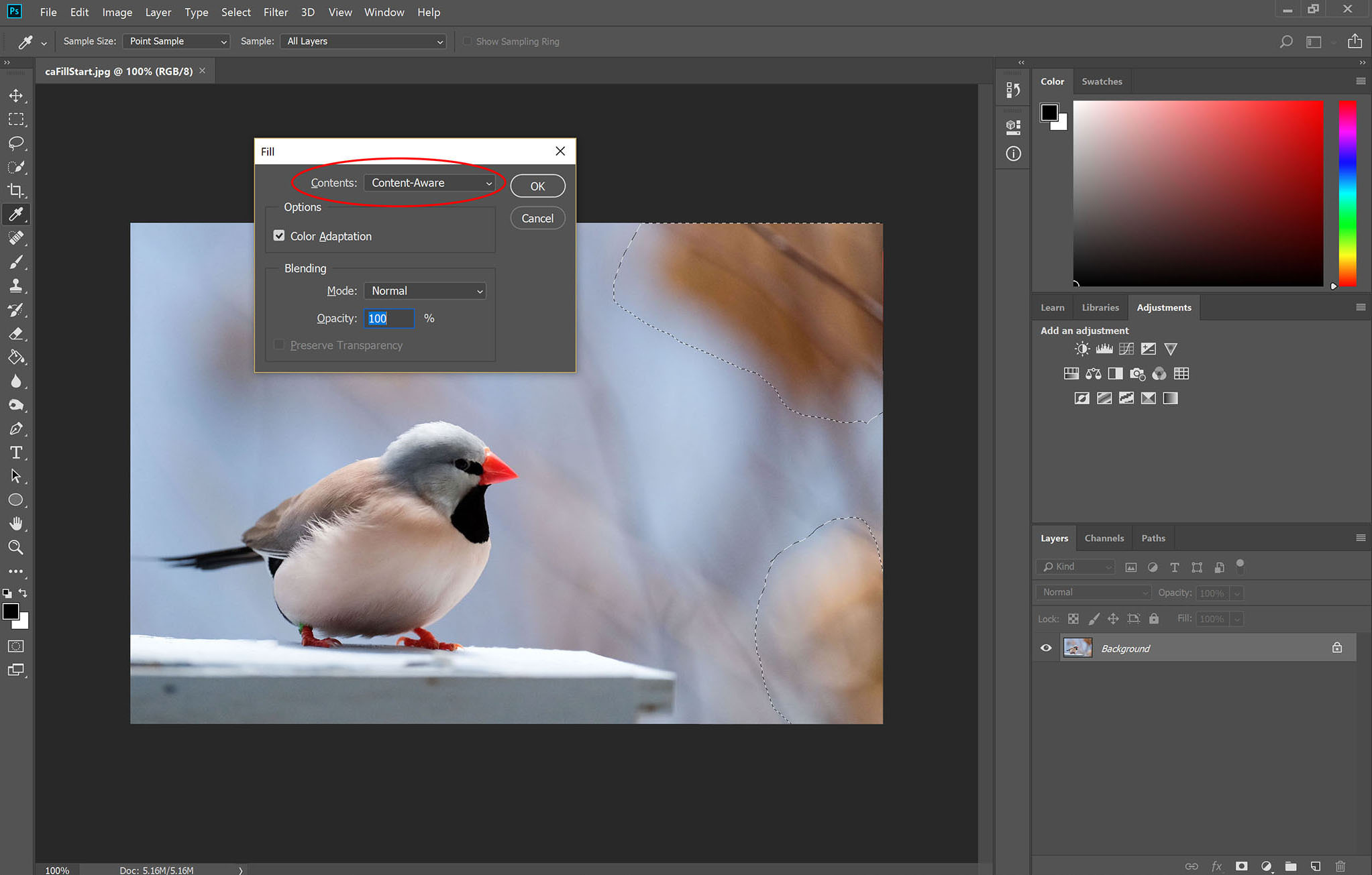 Photoshop S Best Content Aware Tools Explained