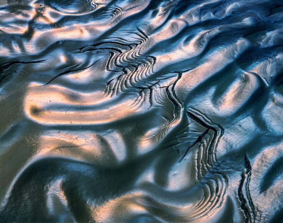 Pattern in the mud, Paria Canyon-Vermillion Cliffs Wilderness Area, Utah 1985_©Copyright © 2006 William Neill