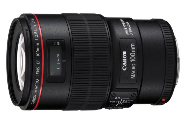 Lens Only Canon EF 100mm f/2.8L IS USM Macro Lens for Canon Digital SLR Cameras 