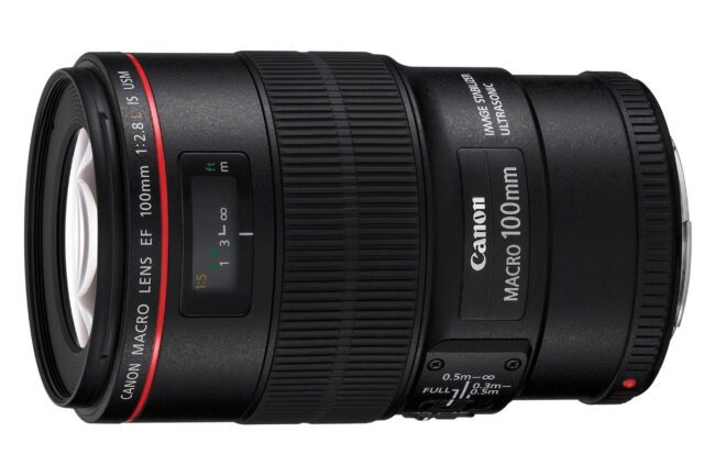 landen venijn bladeren Canon EF 100mm f/2.8L Macro IS USM Review - Photography Life