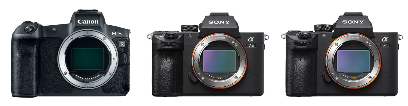 Canon EOS R Vs Sony A7 III Vs Sony A7R III