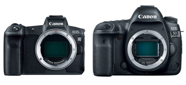 canon r vs d