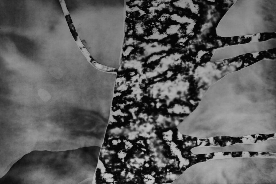 Darkroom Film Experimental Abstract