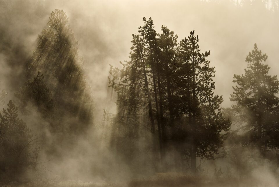 10. Steam Over Hot Spring, Yellowstone