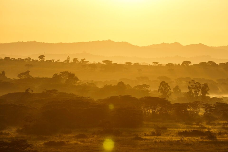 14. Ishasha Sunrise, Uganda