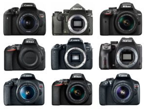 Best Entry-Level DSLRs of 2023 for Beginners, Ranked