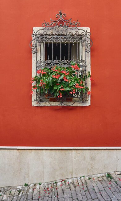 29. Red