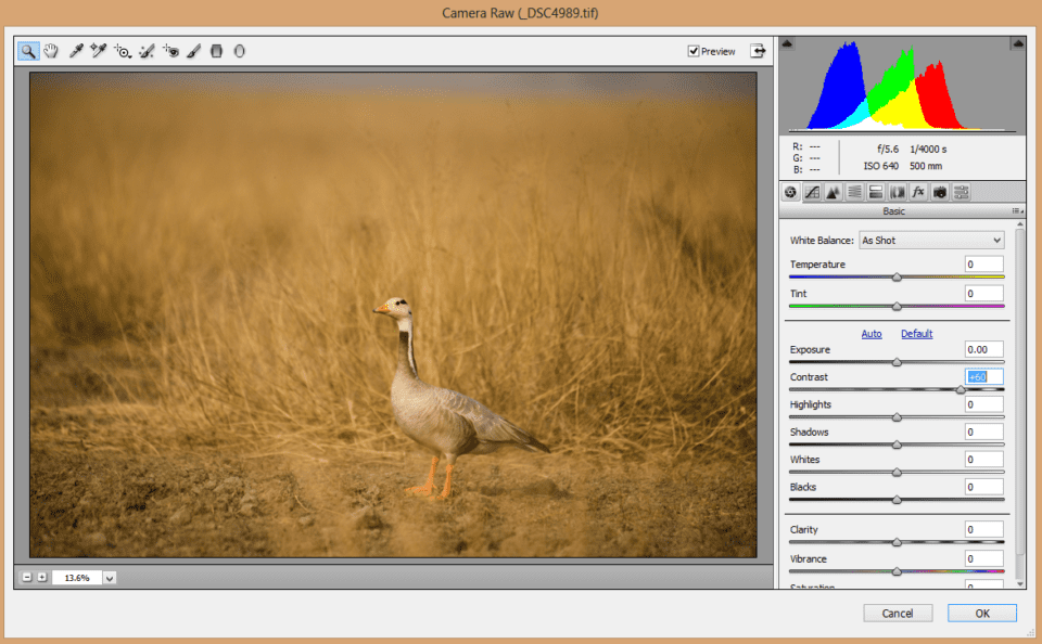 Imagen con alto contraste en Adobe Camera RAW