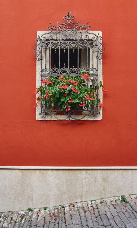 29. Red