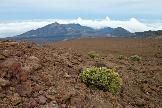 Landscape Photography in Maui