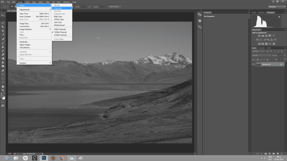 grayscale image converter