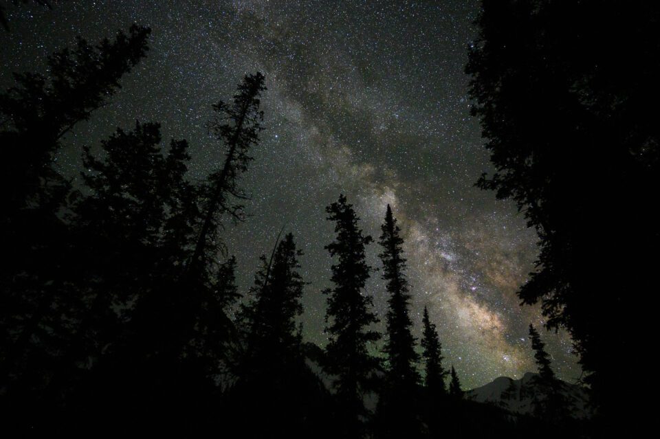 Milky Way through Trees