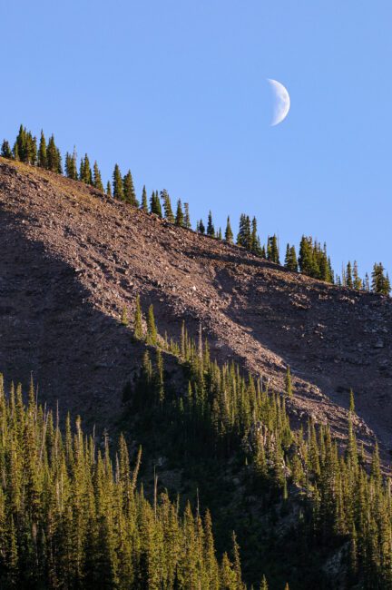 Crescent Moon Rising Over Mountain with Trees