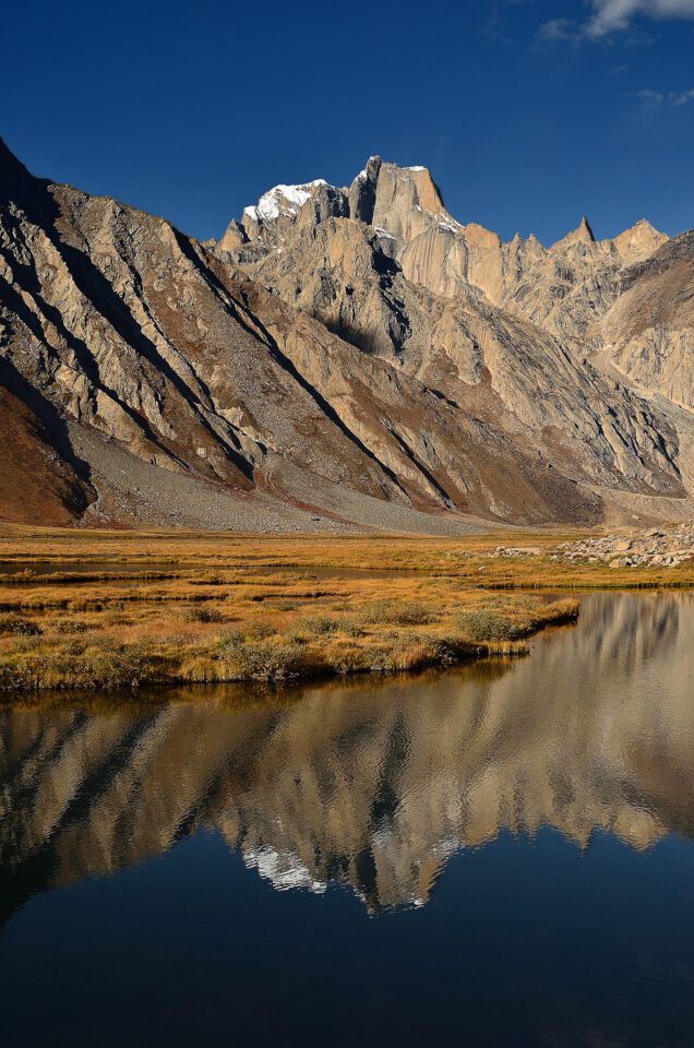 A vertical reflection with mountain in the background
