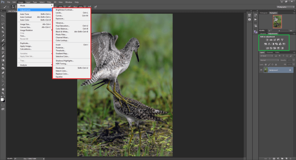 Adjustment Layers in Photoshop