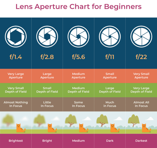 What is Aperture? Understanding Aperture in Photography