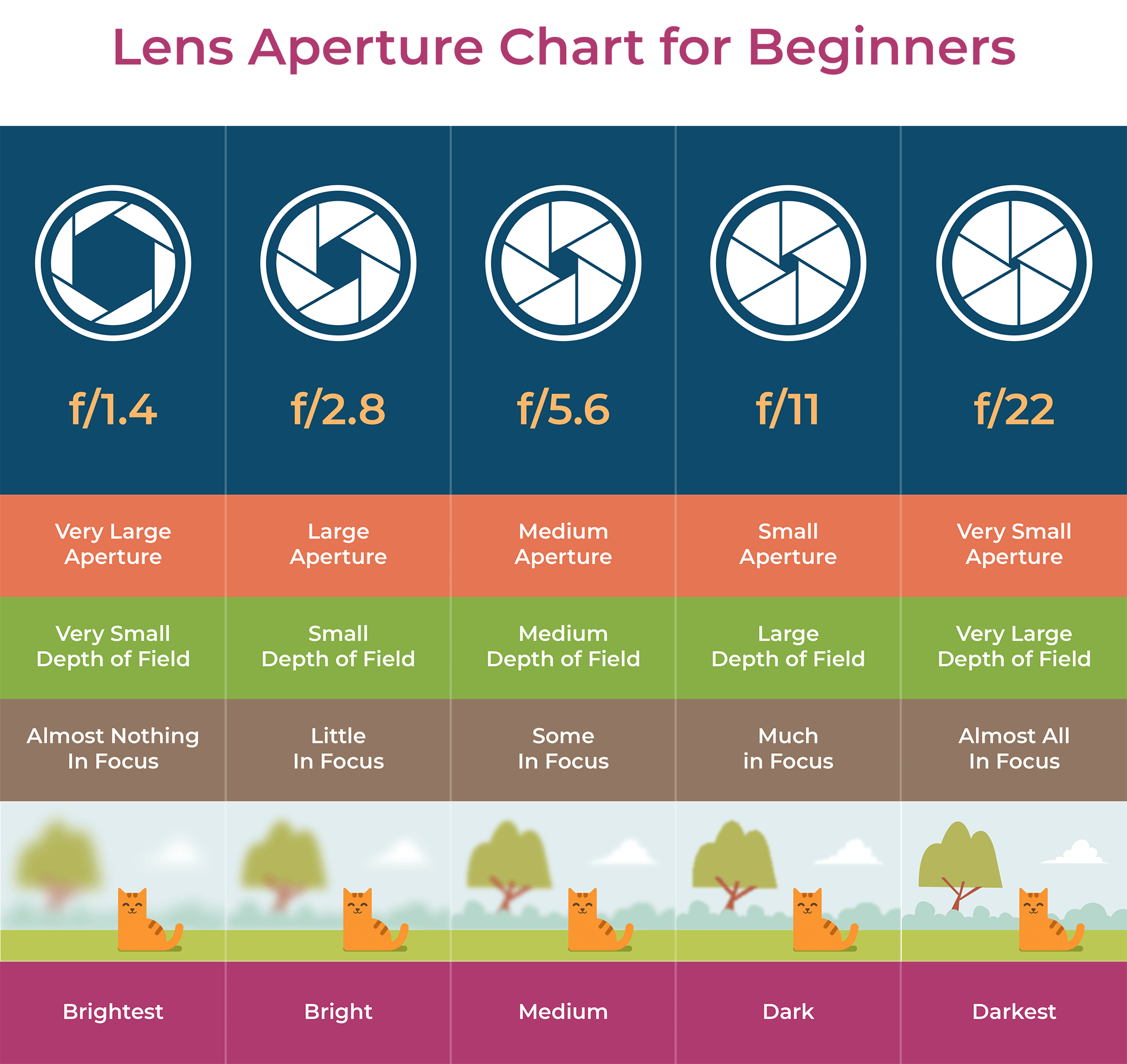 Photography Camera Settings Guide